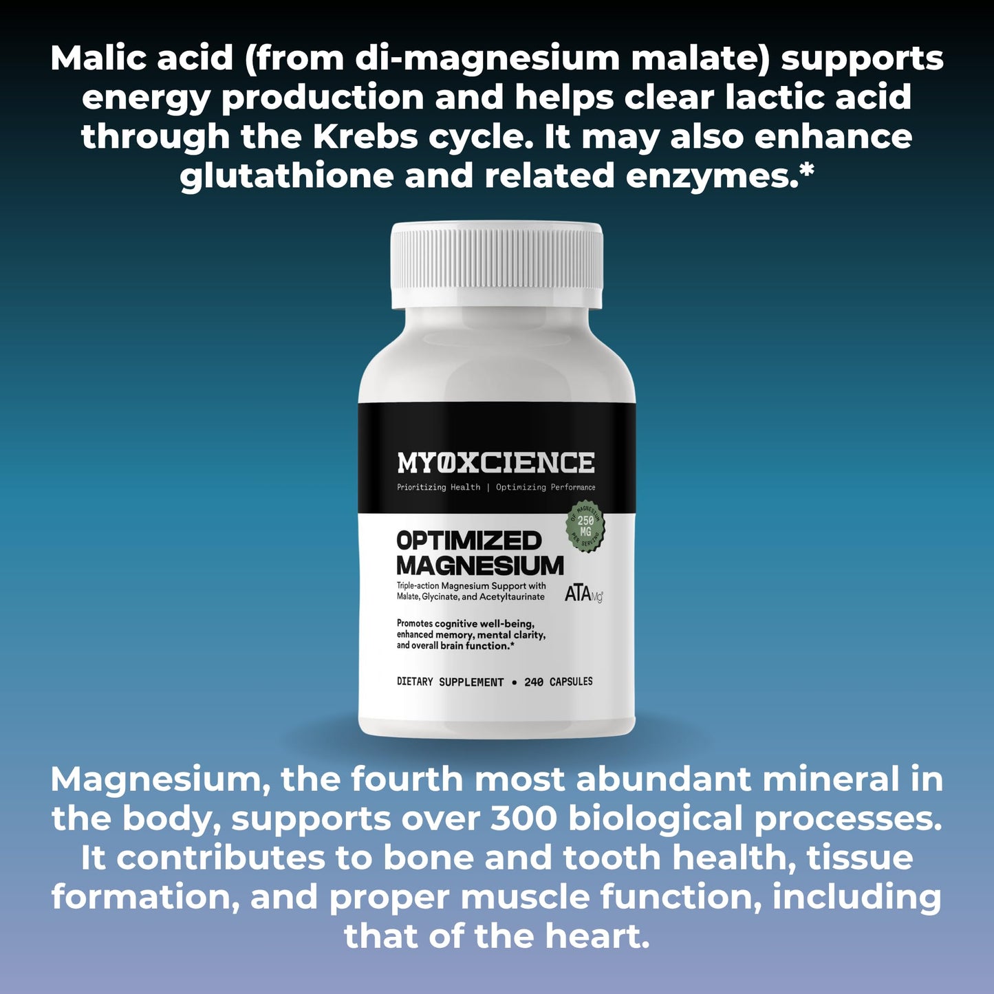 MYOXCIENCE Optimized Magnesium Glycinate + Magnesium Taurate (as ATAmag®) for High Brain Bioavailability to Support Stress Relief and Sleep | 80 Servings - dailyvitalstore