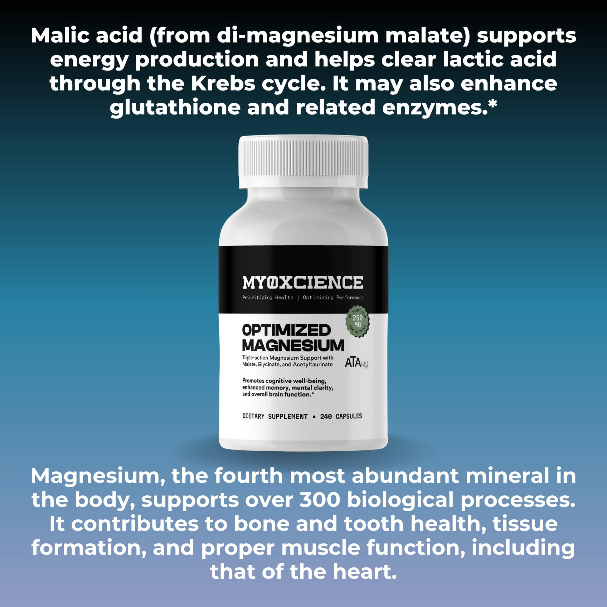 MYOXCIENCE Optimized Magnesium Glycinate + Magnesium Taurate (as ATAmag®) for High Brain Bioavailability to Support Stress Relief and Sleep | 80 Servings - dailyvitalstore