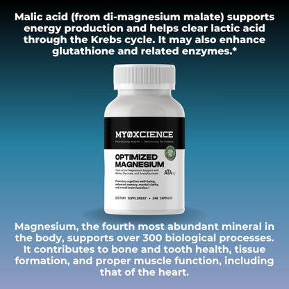 MYOXCIENCE Optimized Magnesium Glycinate + Magnesium Taurate (as ATAmag®) for High Brain Bioavailability to Support Stress Relief and Sleep | 80 Servings - dailyvitalstore