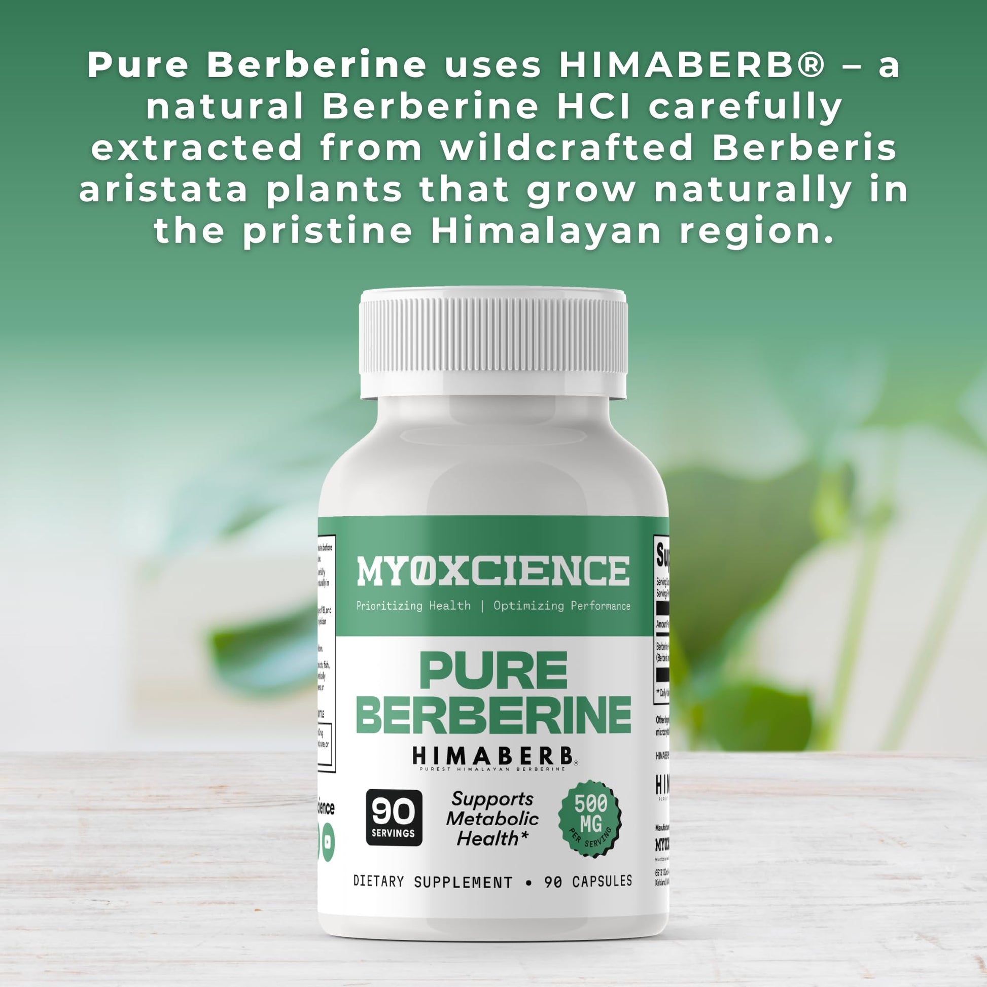 MYOXCIENCE Pure Berberine Himaberb | 500 mg of Berberine HCl per Serving | 90 Servings - dailyvitalstore