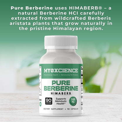 MYOXCIENCE Pure Berberine Himaberb | 500 mg of Berberine HCl per Serving | 90 Servings - dailyvitalstore