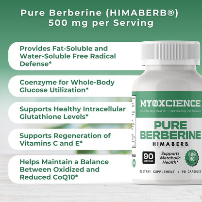 MYOXCIENCE Pure Berberine Himaberb | 500 mg of Berberine HCl per Serving | 90 Servings - dailyvitalstore