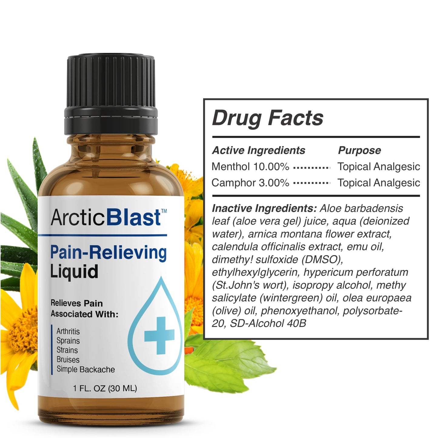 N Labs Arctic Blast Premium Topical Pain Relief Drops – Fast Absorbing DMSO, Menthol & Camphor for Back, Knee, Shoulder, Joint & Muscle Pain – Cooling Rub Formula – Made in USA – 1 fl oz - dailyvitalstore
