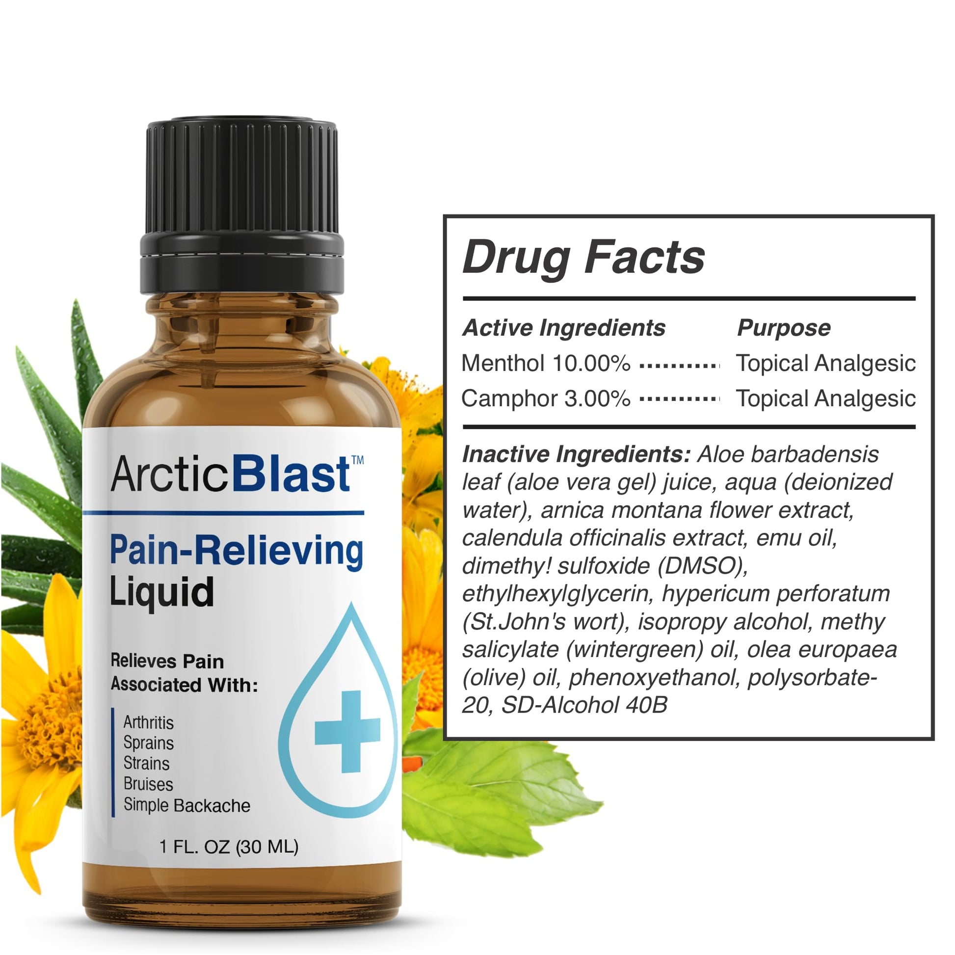 N Labs Arctic Blast Premium Topical Pain Relief Drops – Fast Absorbing DMSO, Menthol & Camphor for Back, Knee, Shoulder, Joint & Muscle Pain – Cooling Rub Formula – Made in USA – 1 fl oz - dailyvitalstore