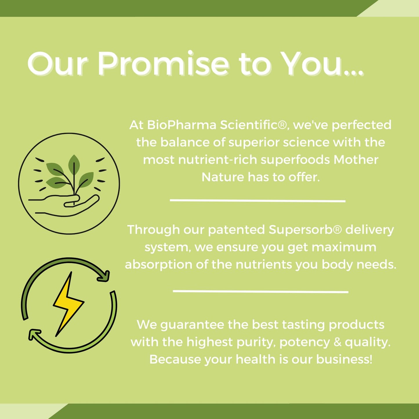 NanoMeal Plant-Based All-in-One Nutrition | Superfood Meal Replacement Powder | Tropical Fruit Blend | 10 Servings | Protein, Greens & Omega for Gut & Immune Support - dailyvitalstore