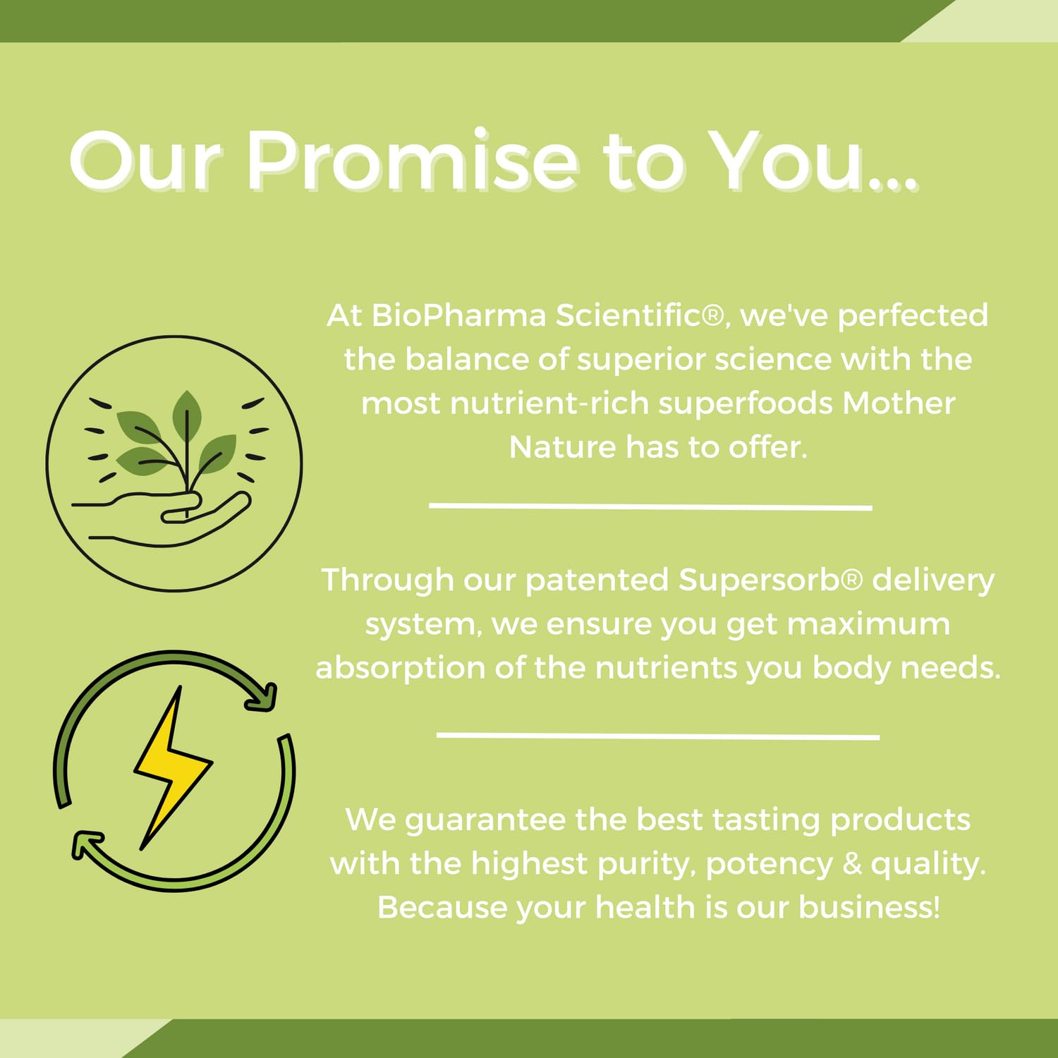 NanoMeal Plant-Based All-in-One Nutrition | Superfood Meal Replacement Powder | Tropical Fruit Blend | 10 Servings | Protein, Greens & Omega for Gut & Immune Support - dailyvitalstore