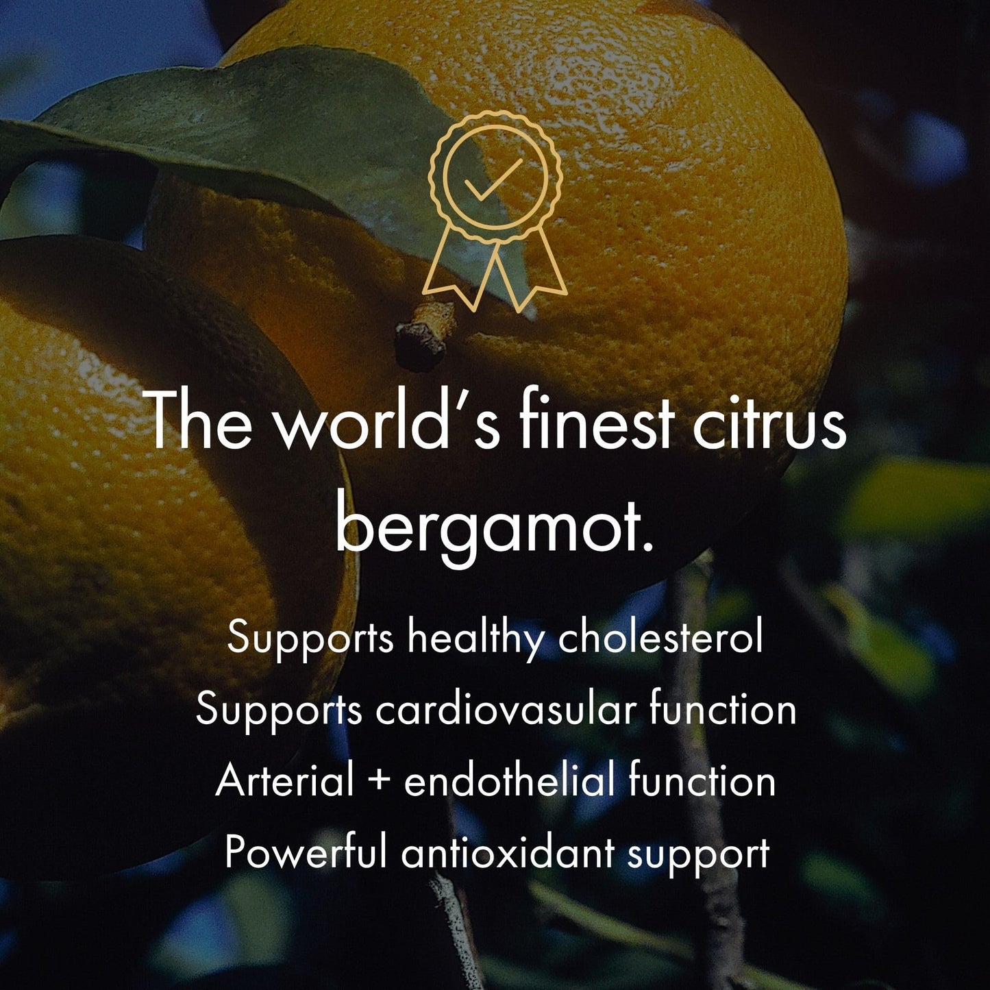 NAOMI Italian Citrus Bergamot Plus Nitric Oxide Boost, Award-Winning Cardiologist Dvlpd, Supports Healthy Cholesterol & Blood Pressure in Normal Range, with 7 Key Polyphenols, 30-Day Supply - dailyvitalstore