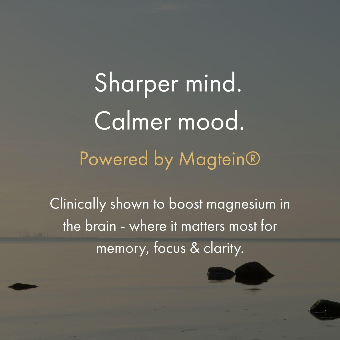 NAOMI Magnesium L-Threonate with 2,000mg Patented Magtein®, High Absorption Elemental Magnesium, Memory Supplement - Brain Health, Focus, Nerve Support, Heart Health, Natural Sleep Aid, 60 Veggie Caps - dailyvitalstore