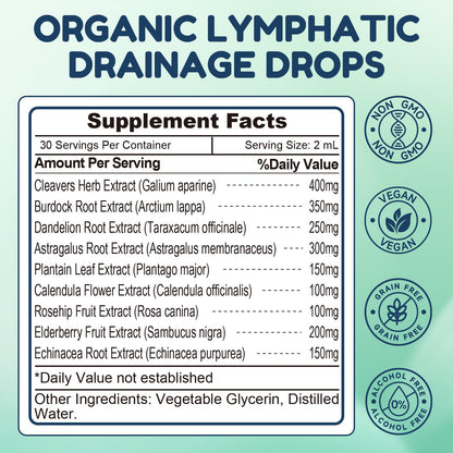 NaSeny Lymphatic Drainage Drops, 9 IN1 Lymphatic Drainage Supplements for Detox & Cleanse, Immune System Support with Echinacea, Elderberry, Dandelion, Arctium Lappa, 2 FL OZ - dailyvitalstore