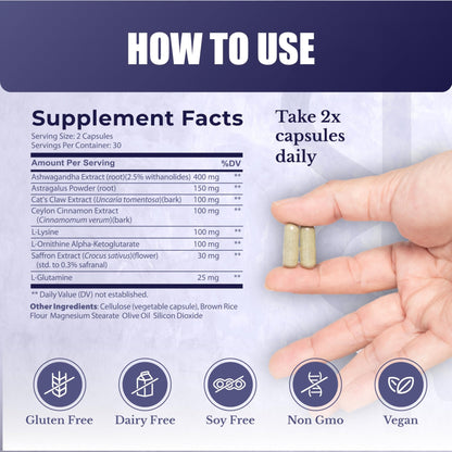 NATION HEALTH MD ActiveSpan - Longevity Supplement for Anti Aging - with Ashwagandha Extract, Astragalus, Cat's Claw, Ceylon Cinnamon, L-Lysine, L-Glutamine & More - 60 Capsules - dailyvitalstore