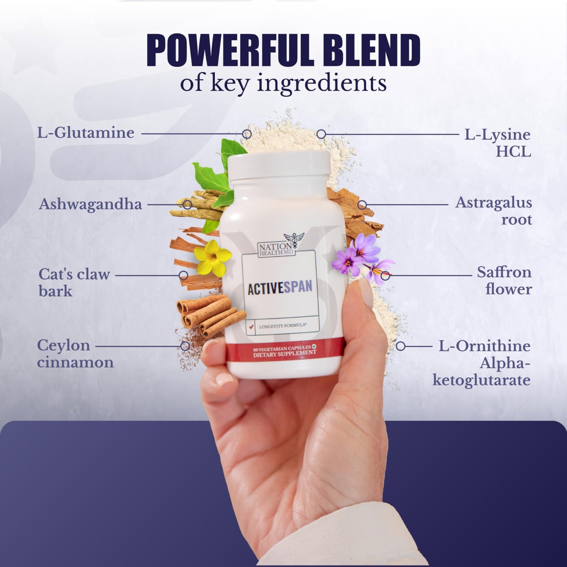 NATION HEALTH MD ActiveSpan - Longevity Supplement for Anti Aging - with Ashwagandha Extract, Astragalus, Cat's Claw, Ceylon Cinnamon, L-Lysine, L-Glutamine & More - 60 Capsules - dailyvitalstore