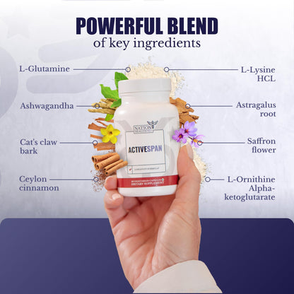 NATION HEALTH MD ActiveSpan - Longevity Supplement for Anti Aging - with Ashwagandha Extract, Astragalus, Cat's Claw, Ceylon Cinnamon, L-Lysine, L-Glutamine & More - 60 Capsules - dailyvitalstore