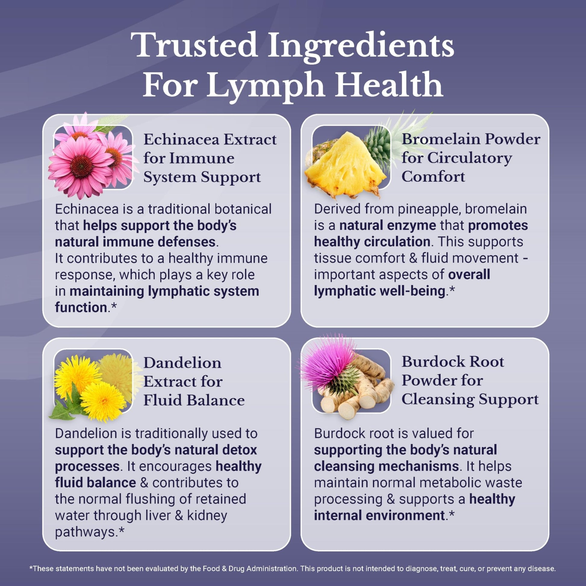 NATION HEALTH MD Lymph MD - Lymphatic Drainage Supplement - with Bromelain, Echinacea, Burdock Root, Dandelion, Rutin, Kelp & More - Lymph System Support for Women & Men - 60 Capsules - dailyvitalstore