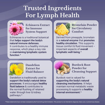 NATION HEALTH MD Lymph MD - Lymphatic Drainage Supplement - with Bromelain, Echinacea, Burdock Root, Dandelion, Rutin, Kelp & More - Lymph System Support for Women & Men - 60 Capsules - dailyvitalstore