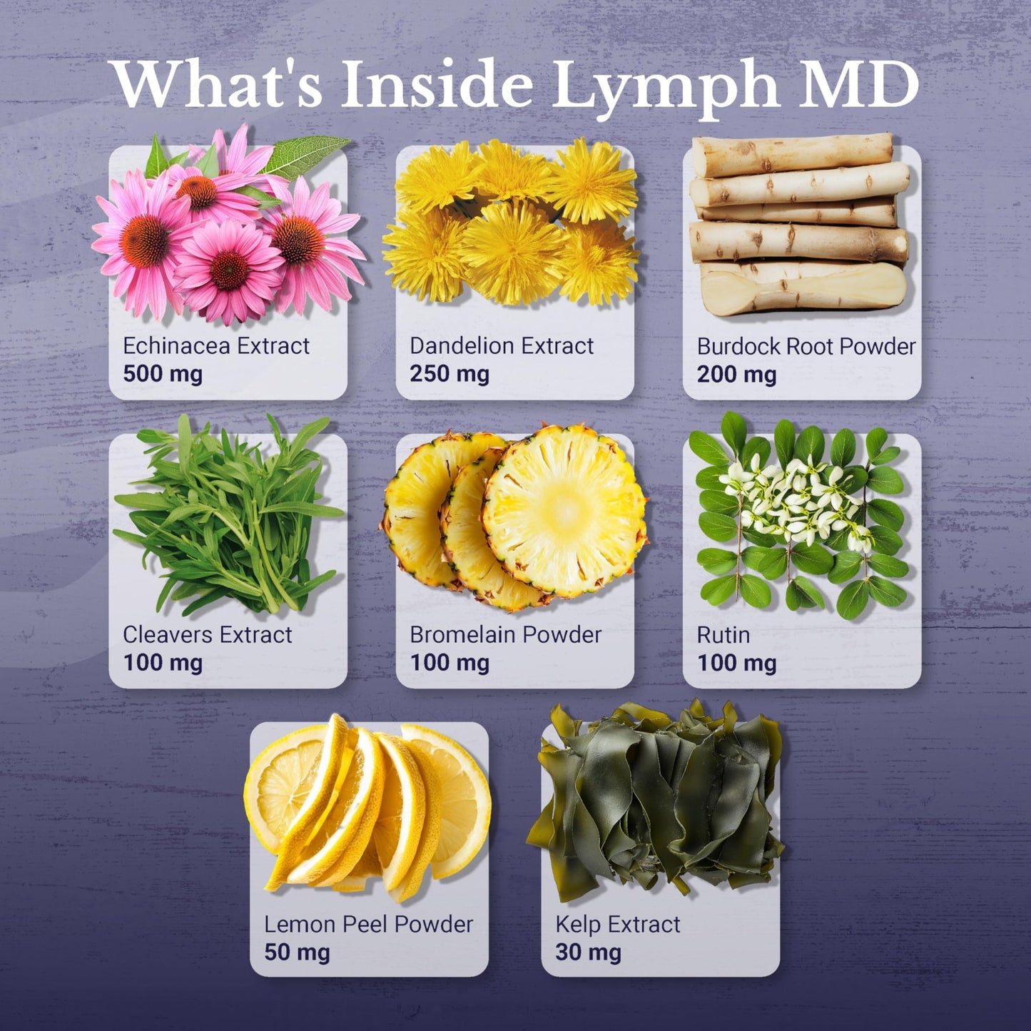 NATION HEALTH MD Lymph MD - Lymphatic Drainage Supplement - with Bromelain, Echinacea, Burdock Root, Dandelion, Rutin, Kelp & More - Lymph System Support for Women & Men - 60 Capsules - dailyvitalstore