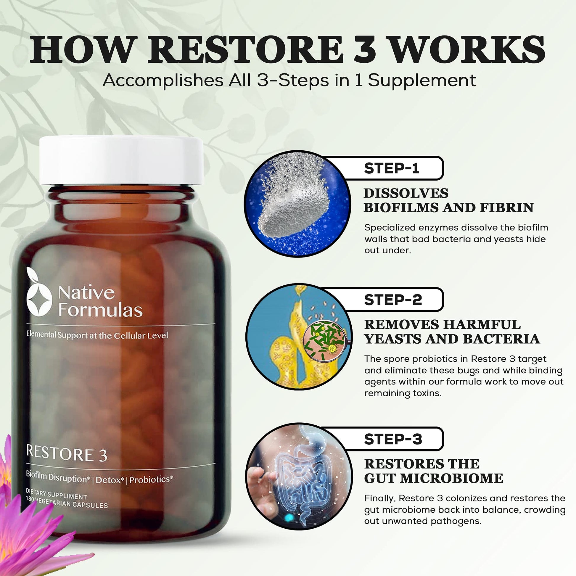 Native Formulas Restore 3 Proteolytic Enzyme & Spore Probiotic Blend Supplement - 60 Capsules - Advanced Biofilm Disruption Aid - dailyvitalstore