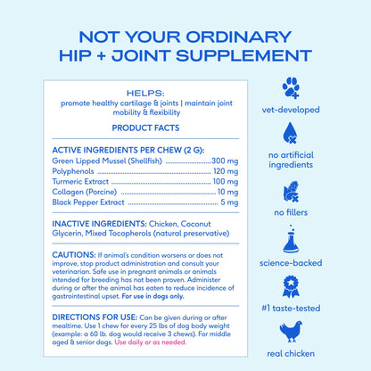Native Pet Inflammatory Care - Pain Relief for Dogs - Green-Lipped Mussel, Turmeric & Collagen for Dogs - Hip and Joint Supplement Supports Healthy Inflammatory Response & Joint Comfort - 60 Chews - dailyvitalstore