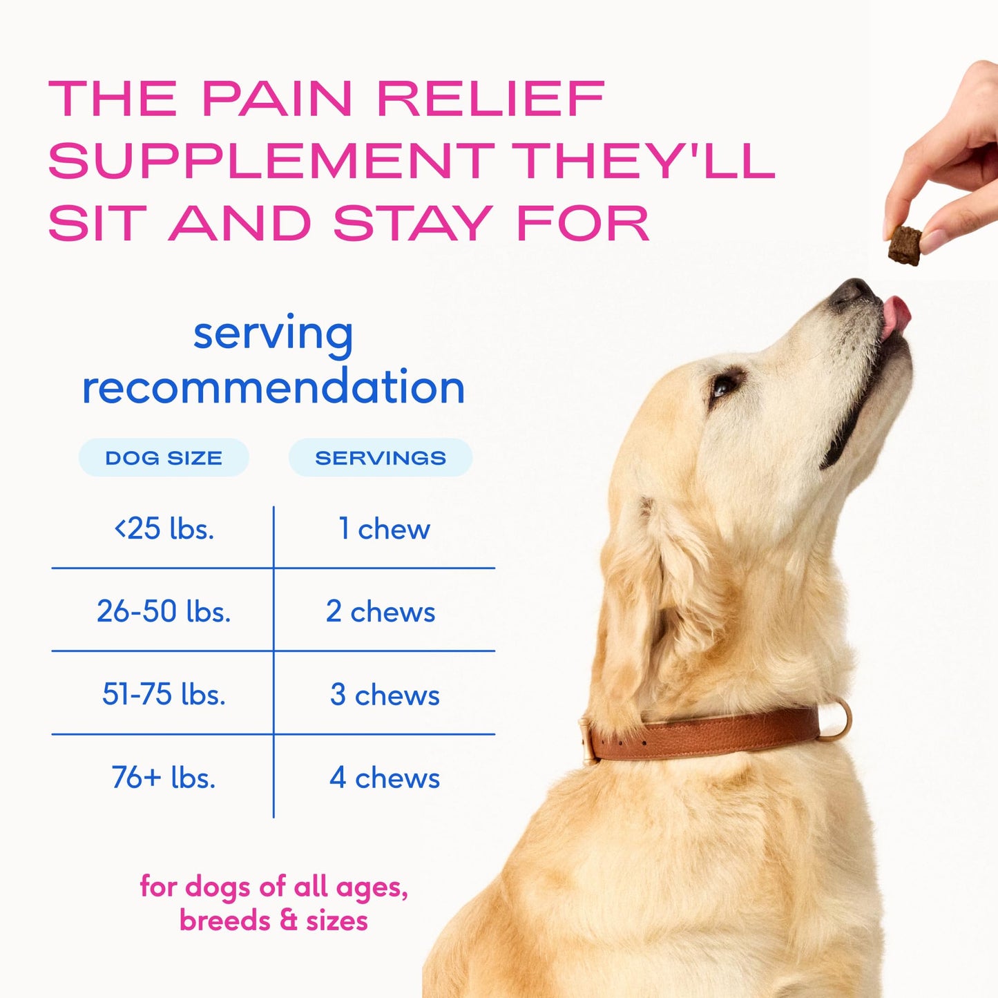 Native Pet Inflammatory Care - Pain Relief for Dogs - Green-Lipped Mussel, Turmeric & Collagen for Dogs - Hip and Joint Supplement Supports Healthy Inflammatory Response & Joint Comfort - 60 Chews - dailyvitalstore