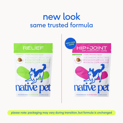 Native Pet Inflammatory Care - Pain Relief for Dogs - Green-Lipped Mussel, Turmeric & Collagen for Dogs - Hip and Joint Supplement Supports Healthy Inflammatory Response & Joint Comfort - 60 Chews - dailyvitalstore