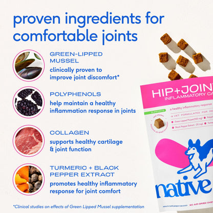 Native Pet Inflammatory Care - Pain Relief for Dogs - Green-Lipped Mussel, Turmeric & Collagen for Dogs - Hip and Joint Supplement Supports Healthy Inflammatory Response & Joint Comfort - 60 Chews - dailyvitalstore