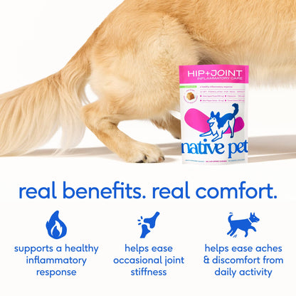 Native Pet Inflammatory Care - Pain Relief for Dogs - Green-Lipped Mussel, Turmeric & Collagen for Dogs - Hip and Joint Supplement Supports Healthy Inflammatory Response & Joint Comfort - 60 Chews - dailyvitalstore