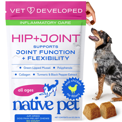 Native Pet Inflammatory Care - Pain Relief for Dogs - Green-Lipped Mussel, Turmeric & Collagen for Dogs - Hip and Joint Supplement Supports Healthy Inflammatory Response & Joint Comfort - 60 Chews - dailyvitalstore
