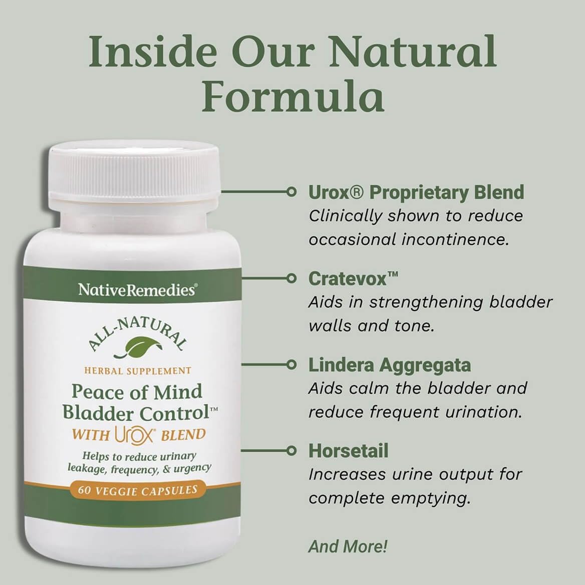 Native Remedies Bladder Control Supplements - Peace of Mind with Urox - Bladder Support for Women & Men, for Overactive Bladders Health - Reduce Nighttime Urination - Non-GMO Vegan Capsules (60 Count) - dailyvitalstore