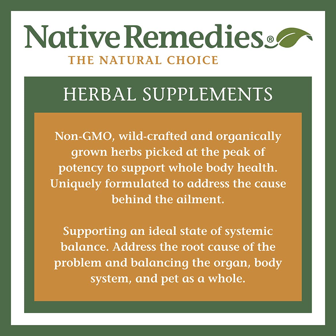 Native Remedies Inflam Dr. - All Natural Herbal Supplement Promotes Healthy Inflammation Response - Helps Fight Oxidative Stress to Cells - 60 Veggie Caps - dailyvitalstore