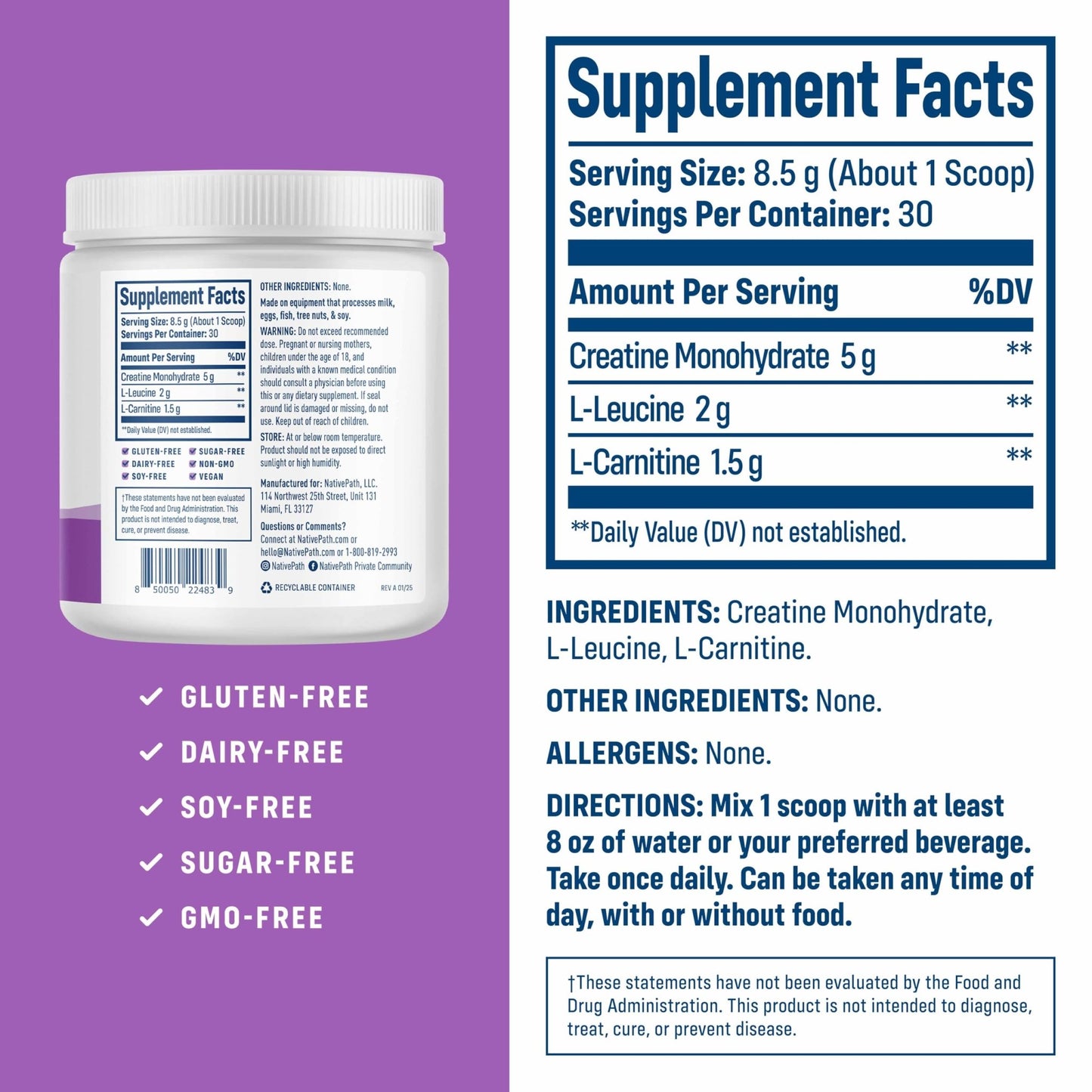 NativePath Creatine Monohydrate Powder with L-Leucine & L-Carnitine - Muscle Building Supplement for Men & Women - 30 Servings (Pack of 2) - dailyvitalstore