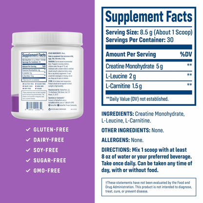 NativePath Creatine Monohydrate Powder with L-Leucine & L-Carnitine - Muscle Building Supplement for Men & Women - 30 Servings (Pack of 2) - dailyvitalstore