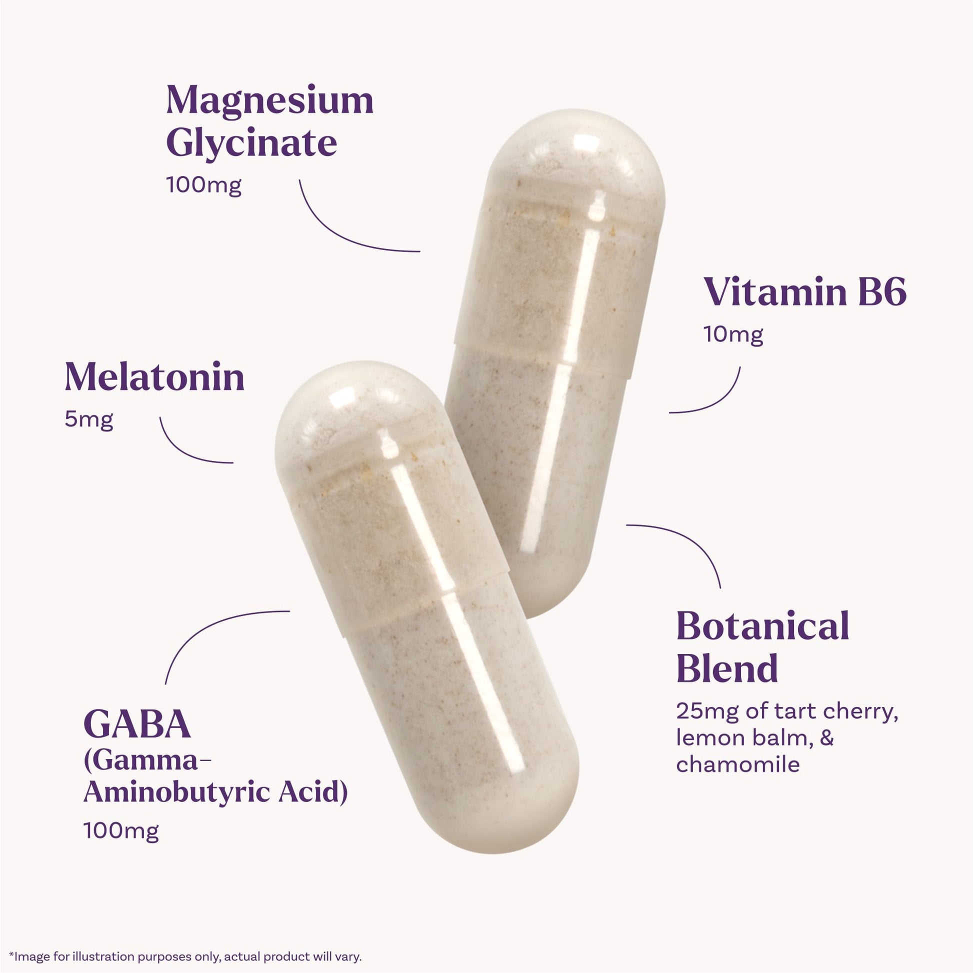 Natrol Sleep & Restore Capsules - Calm Magnesium Glycinate, Magnesium Sleep Aid with GABA, Melatonin 5mg, Botanical Blend, 30 Day Supply - dailyvitalstore