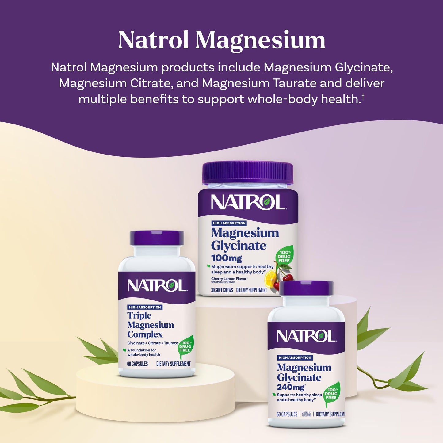 Natrol Triple Magnesium Complex Supplement, Glycinate, Citrate & Taurate 200mg High Absorption, Support Whole Body Wellness, 60 Capsules - dailyvitalstore