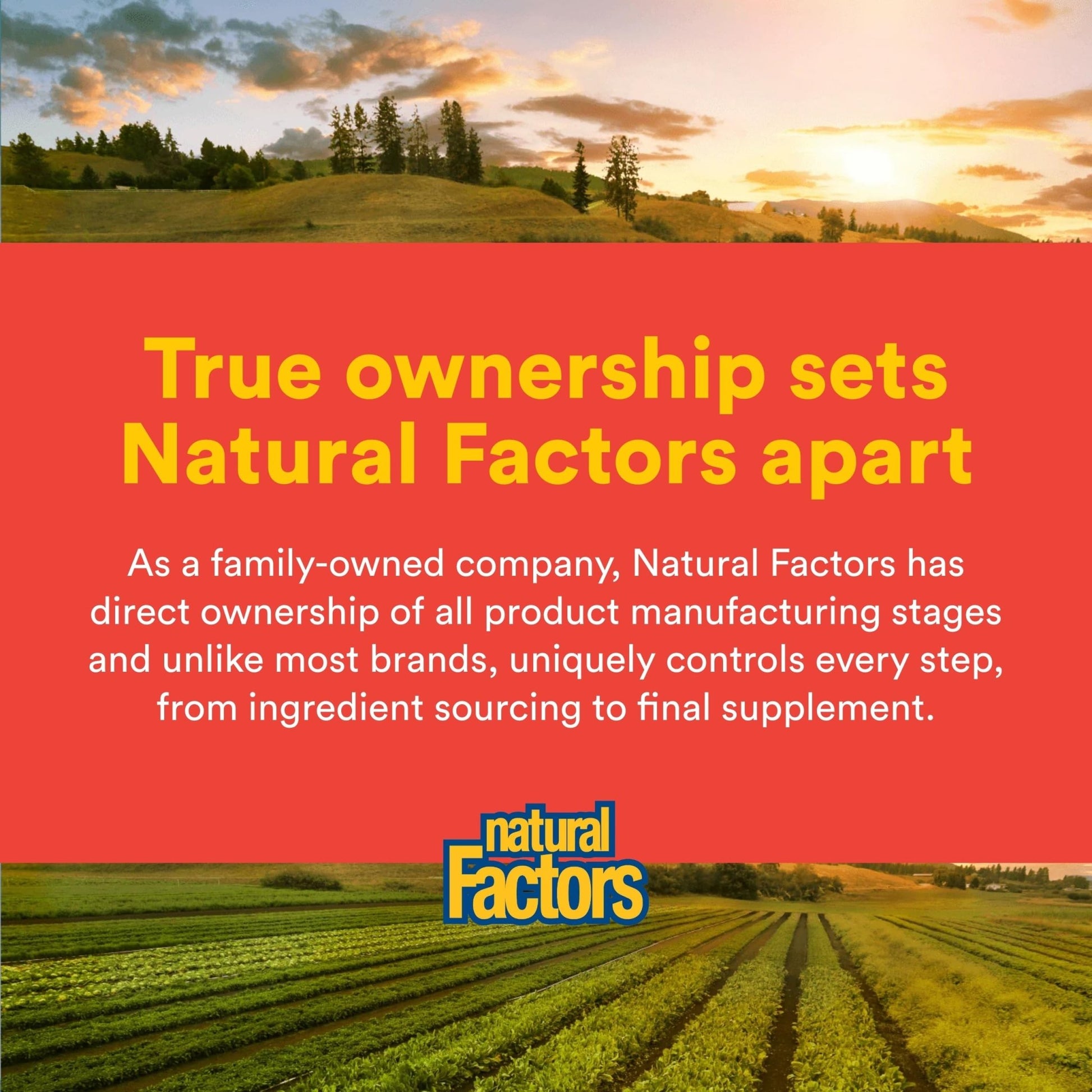 Natural Factors, Celadrin Joint Health, Promotes Flexibility, Mobility and Joint Function, 90 Softgels - dailyvitalstore