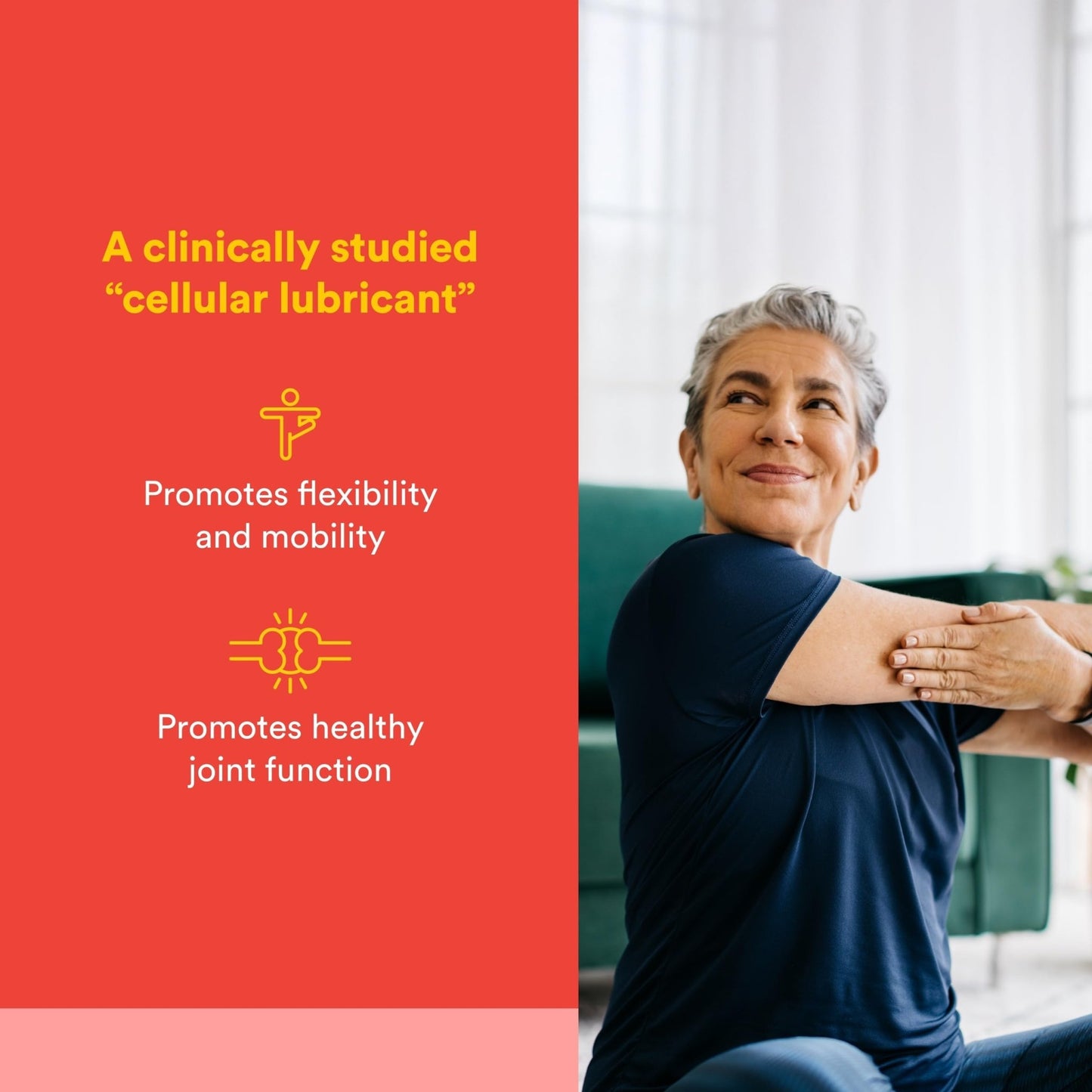 Natural Factors, Celadrin Joint Health, Promotes Flexibility, Mobility and Joint Function, 90 Softgels - dailyvitalstore