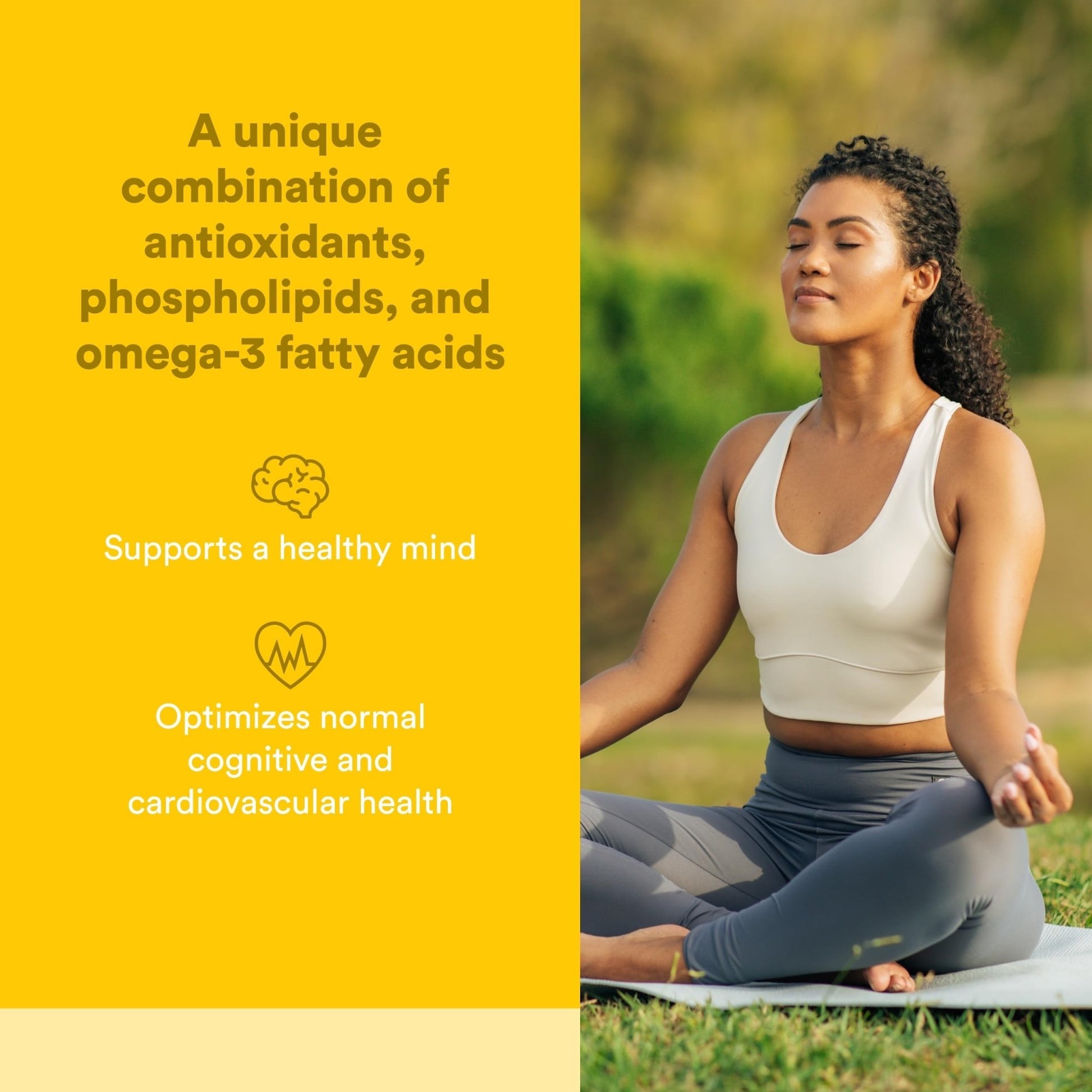 Natural Factors Higher Thoughts - Supports Cognitive & Cardiovascular Health* - Fish Oil, Fatty Acids, EPA, DHA & More - 90 Softgels - dailyvitalstore