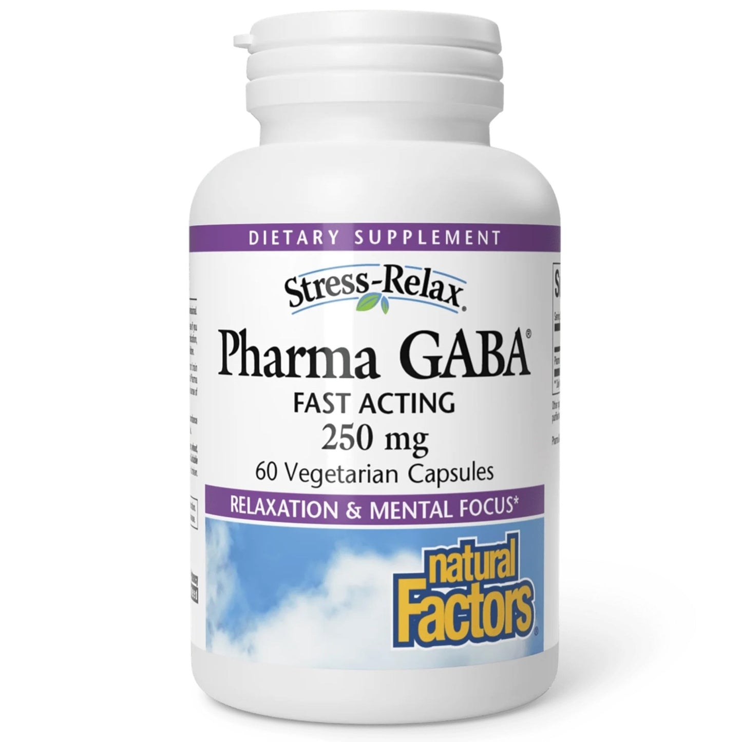 Natural Factors Pharma GABA - Dietary Supplement Supports Calm Sleep & Sleep Quality - Natural, Fast-Working Supplement Aids Focus & Brain Health - 60 Chewable Tablets (60 Servings) - dailyvitalstore