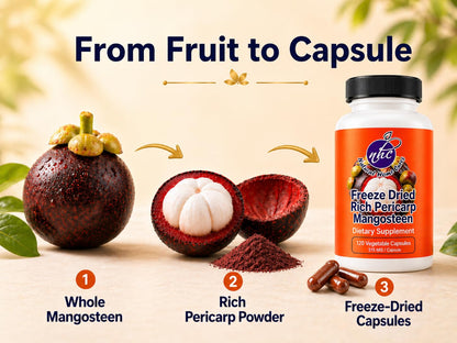 Natural Home Cures Freeze-Dried Mangosteen Rich Pericarp Capsules – 56+ Xanthones & Flavonoids, High ORAC Antioxidant Support, 515 mg, 120 Vegan Capsules - dailyvitalstore