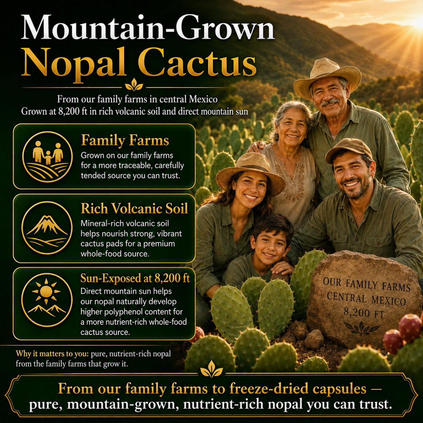 Natural Home Cures Premium Freeze-Dried Nopal Cactus Capsules, Mountain-Grown in Mexico, Whole Prickly Pear Cactus Powder Supplement, No Fillers - dailyvitalstore