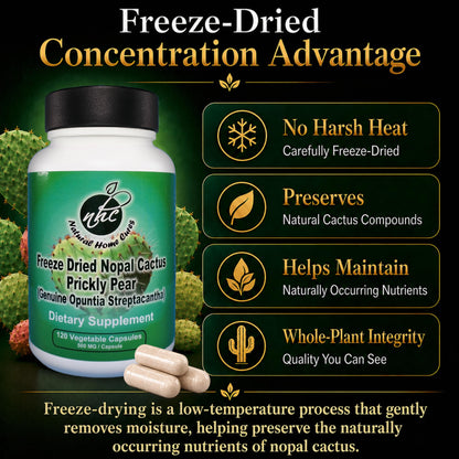 Natural Home Cures Premium Freeze-Dried Nopal Cactus Capsules, Mountain-Grown in Mexico, Whole Prickly Pear Cactus Powder Supplement, No Fillers - dailyvitalstore