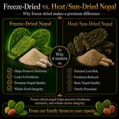Natural Home Cures Premium Freeze-Dried Nopal Cactus Capsules, Mountain-Grown in Mexico, Whole Prickly Pear Cactus Powder Supplement, No Fillers - dailyvitalstore