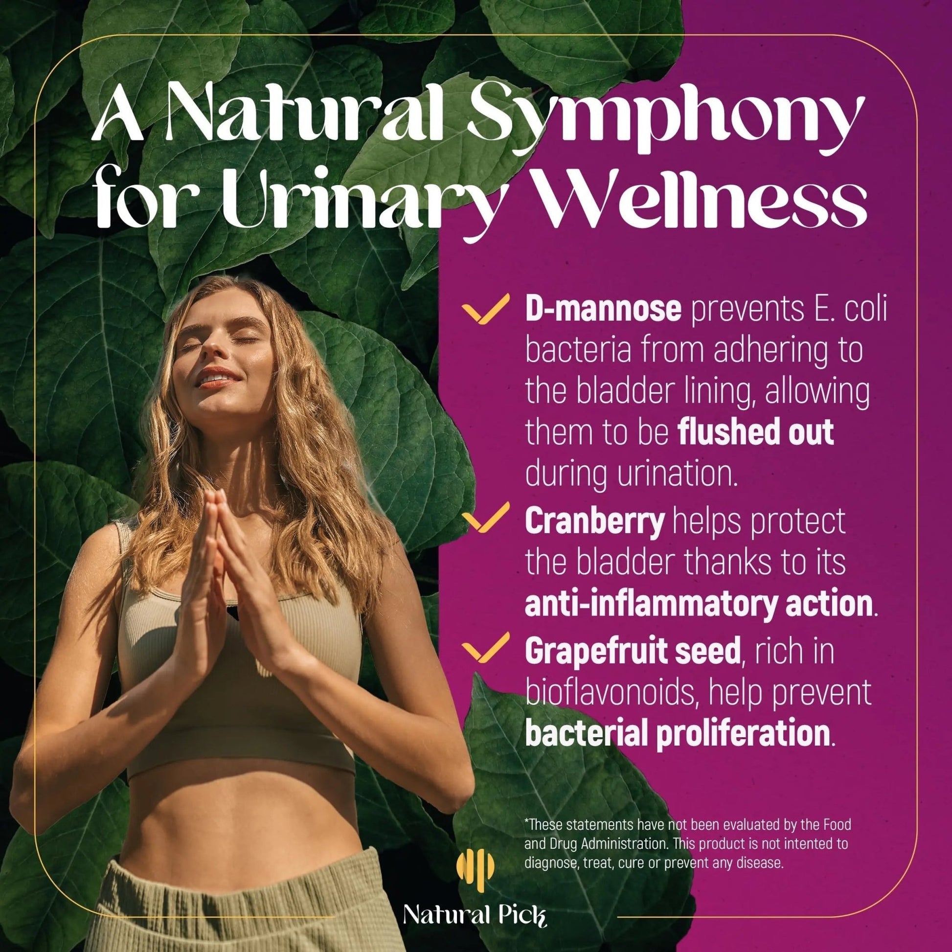 Natural Pick D-Mannose - Cranberry & Grapefruit – Cranberry Pills, UTI Treatment and Fast Relief for Women | Urinary Tract & Bladder Support. 90 Vegan Capsules, D mannose Supplements for Women - dailyvitalstore