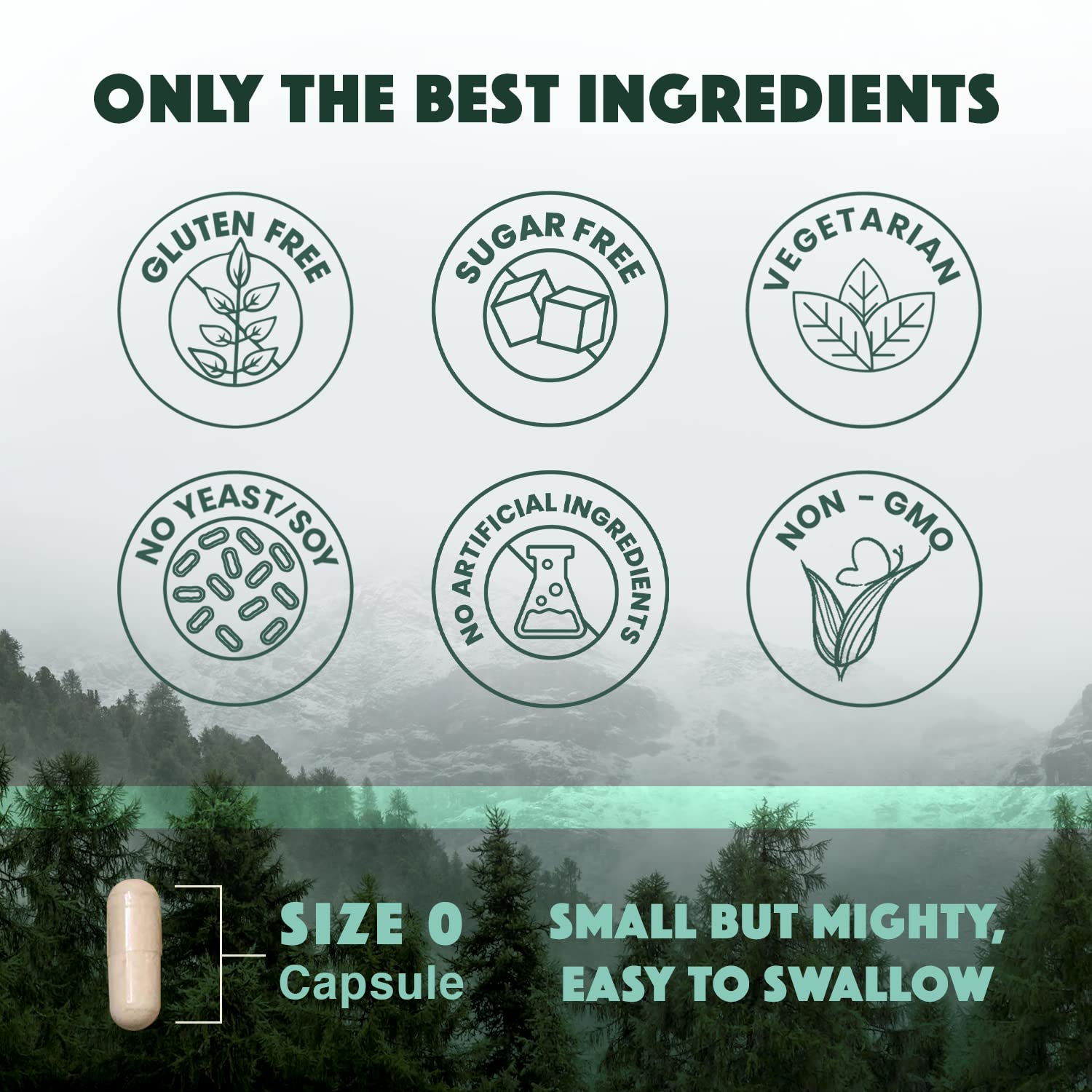 Natural Rhythm Triple Calm Magnesium Complex - 120 Capsules, Chelated Magnesium Glycinate, Taurate & Malate, High Absorption Supplement for Sleep, Stress, Muscle & Heart Support, Non-GMO, Vegan - dailyvitalstore