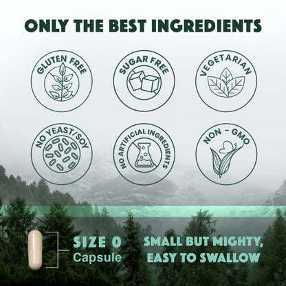Natural Rhythm Triple Calm Magnesium Complex - 120 Capsules, Chelated Magnesium Glycinate, Taurate & Malate, High Absorption Supplement for Sleep, Stress, Muscle & Heart Support, Non-GMO, Vegan - dailyvitalstore