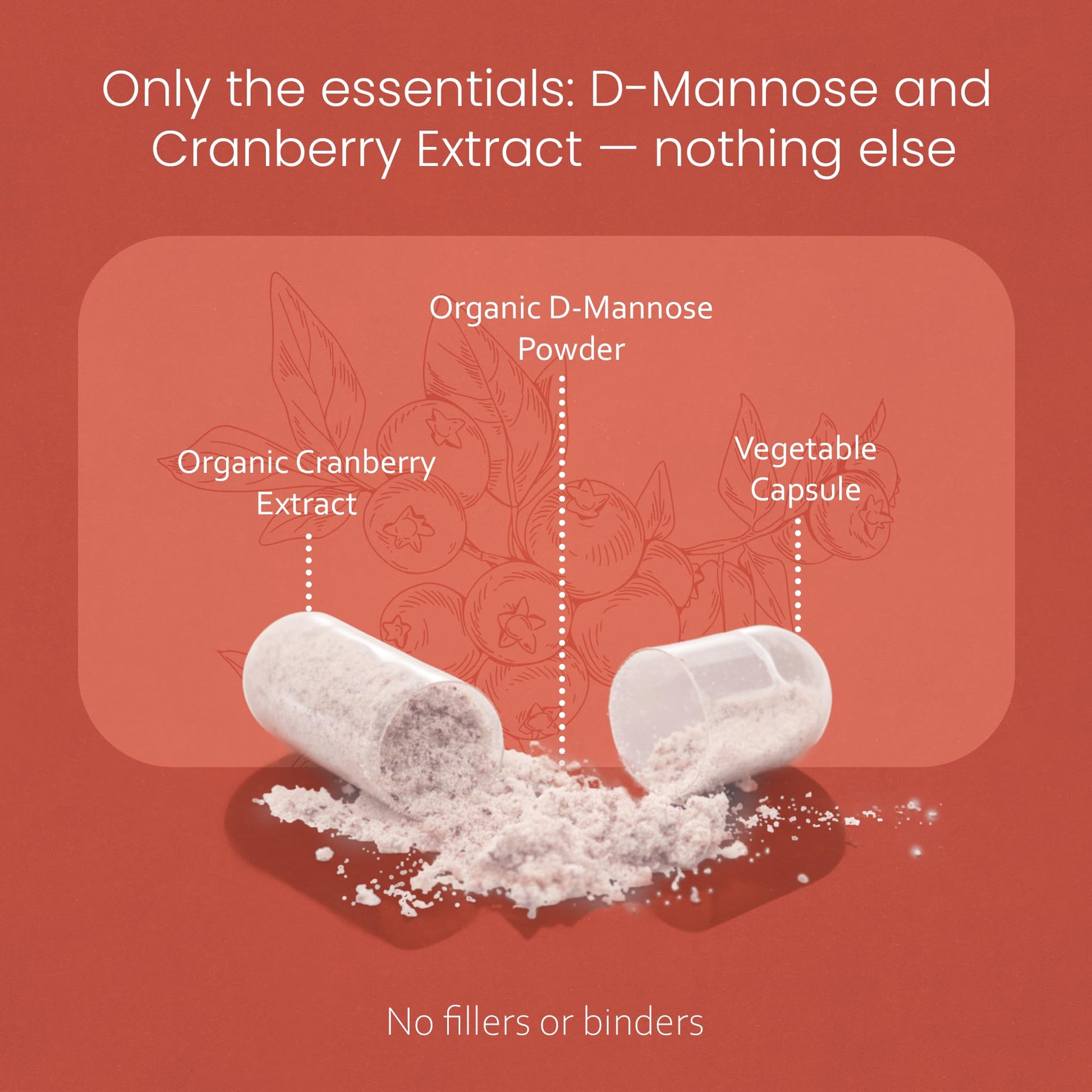 NaturaLife Labs Organic D-Mannose 1300 mg with Organic Cranberry Extract 100 mg per Serving – 100 Capsules – Non-GMO, Gluten-Free, Vegan - dailyvitalstore