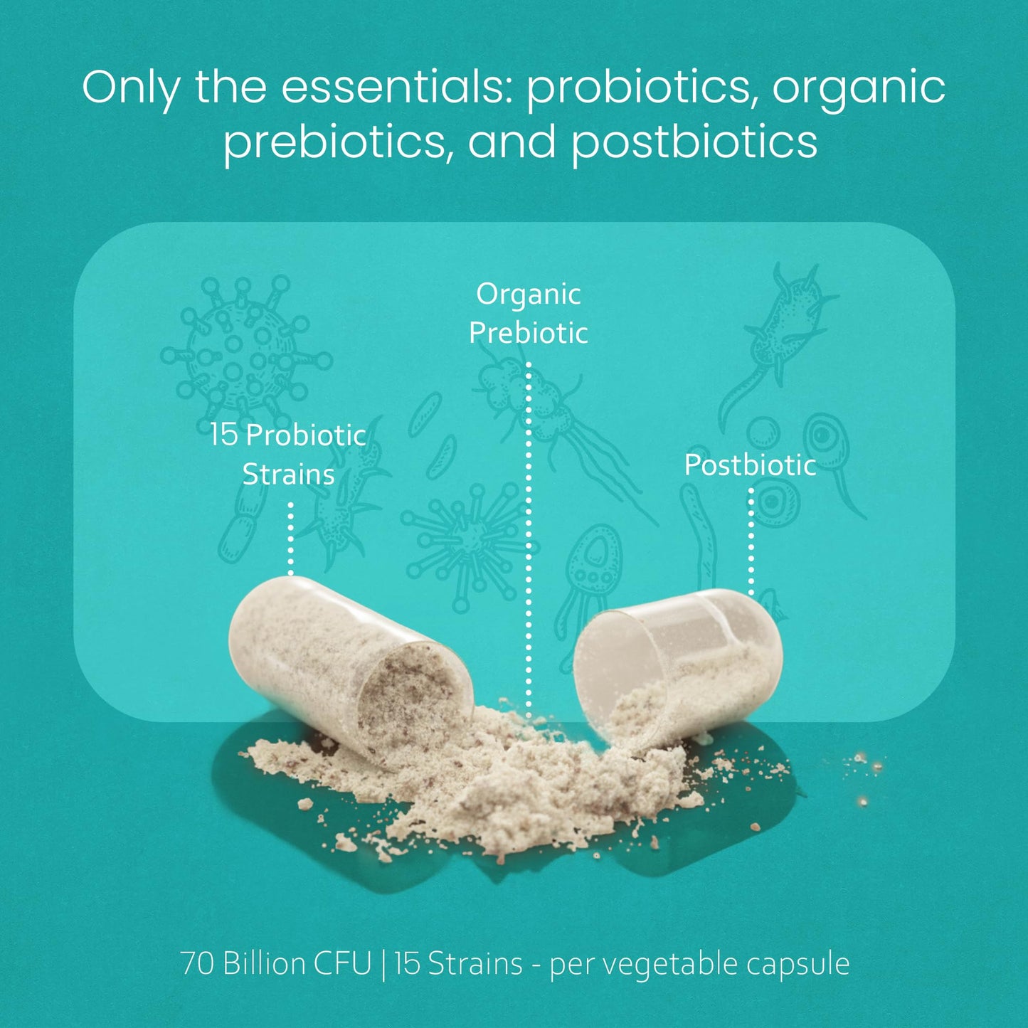 NaturaLife Labs Probiotics 70 Billion CFU – 15 Strains with Organic Prebiotic & Postbiotic – 3-in-1 Formula – 30 Vegan Capsules - dailyvitalstore