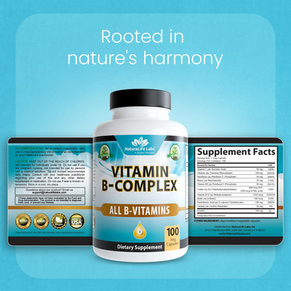 NaturaLife Labs Vitamin B Complex – All B Vitamins Including Active B2, B6, B9 & B12 (Methylcobalamin), Plus B1, B3, B5, B7 & Vitamin C – 100 Capsules - dailyvitalstore