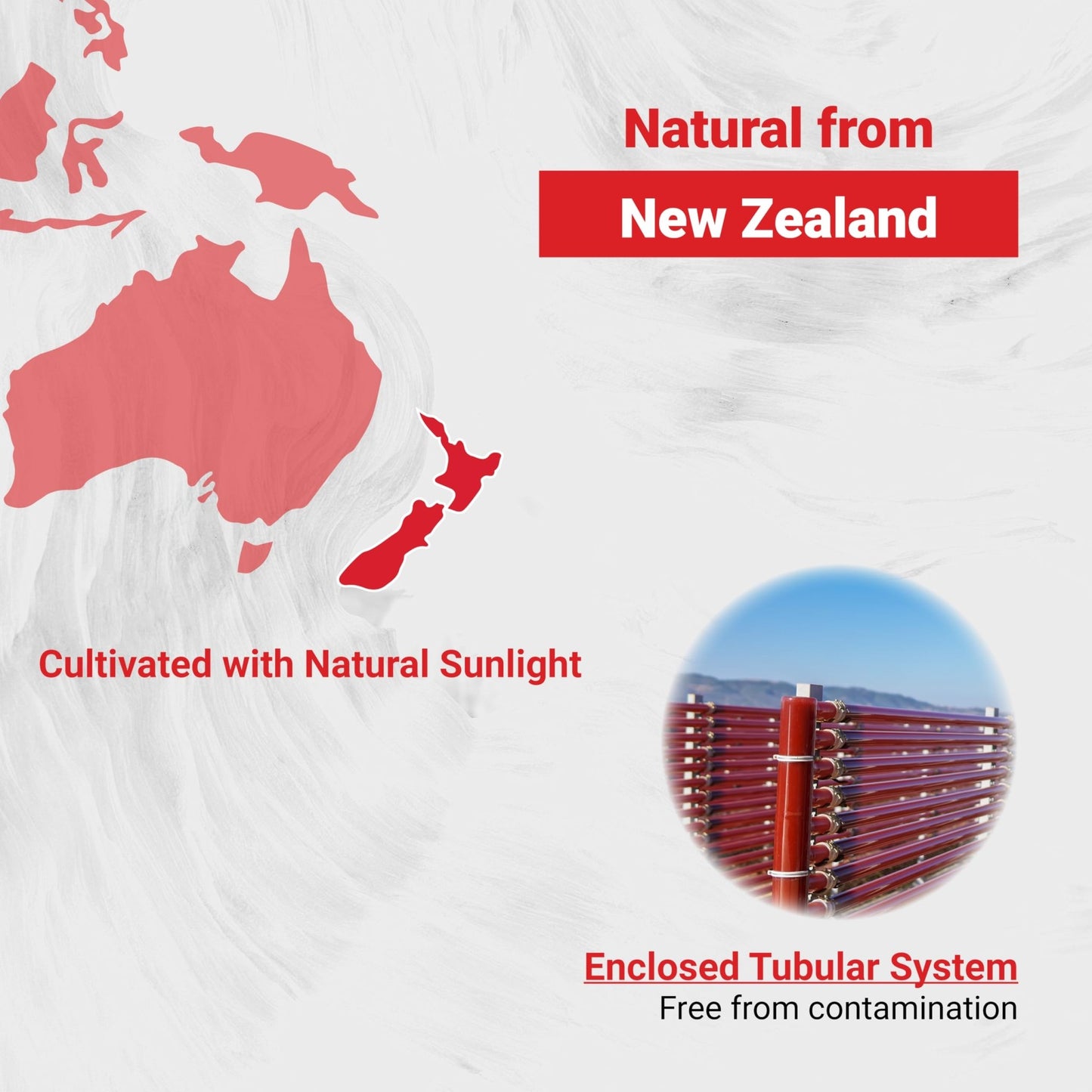Naturalis New Zealand Astaxanthin (12mg) | Enhanced with Natural Vitamin E | Non-GMO, Soy & Gluten Free | 120 Softgels (4 Month Supply) - dailyvitalstore