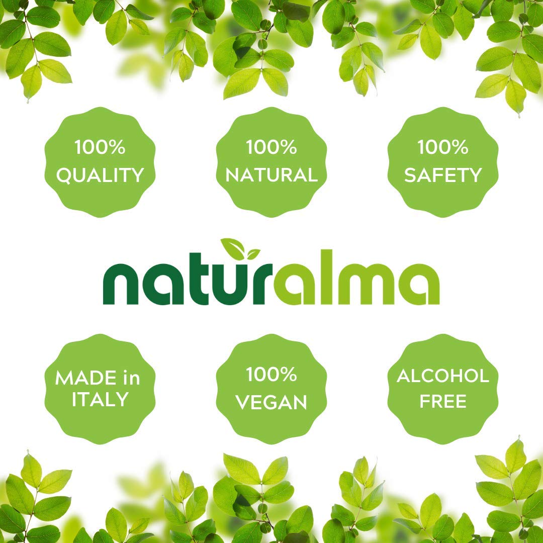 Naturalma White Willow (Salix alba) bark Alcohol-Free Tincture - 6.76 fl oz Liquid Extract in Drops - Herbal Supplement - Vegan - dailyvitalstore