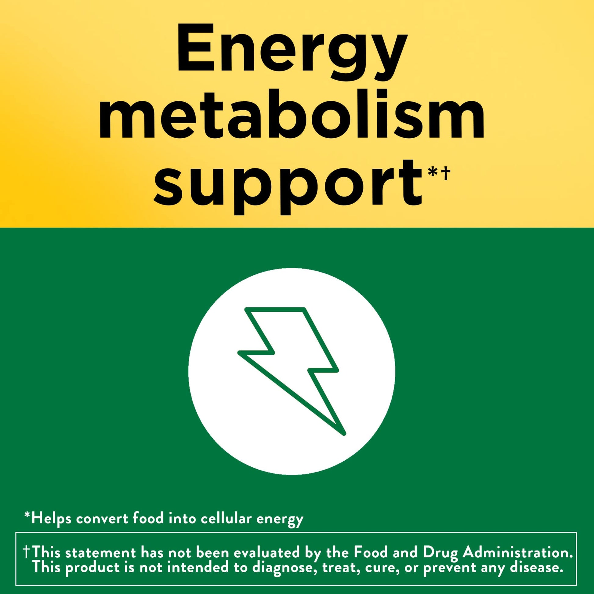 Nature Made Super B Complex Vitamins for Women and Men, Dietary Supplement for Energy Metabolism Support, Super Vitamin B Complex - dailyvitalstore