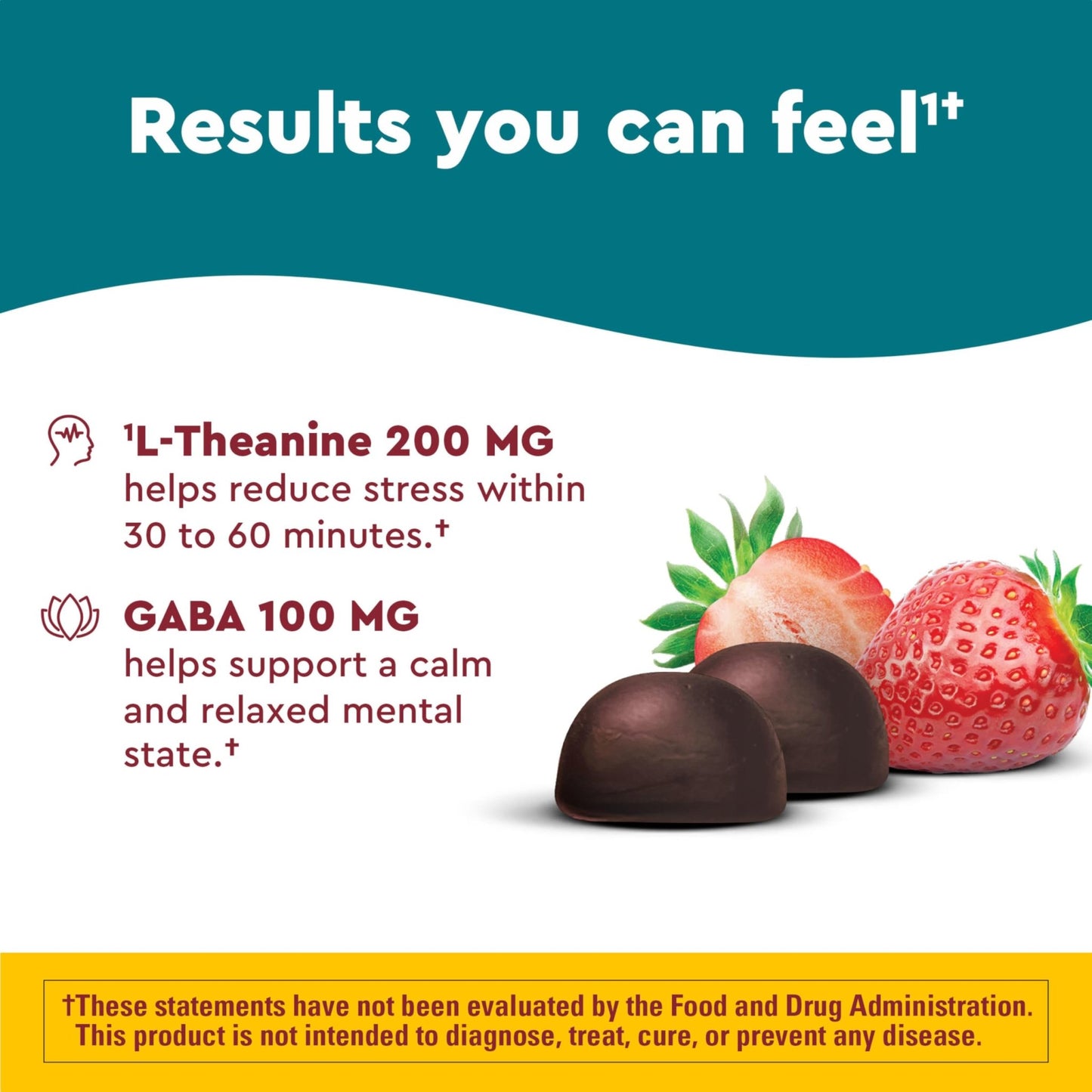Nature Made Wellblends Stress Relief Gummies, L theanine 200mg to Help Reduce Stress, with GABA 100mg, Same Day Stress Support, 40 Strawberry Flavor Gummies - dailyvitalstore